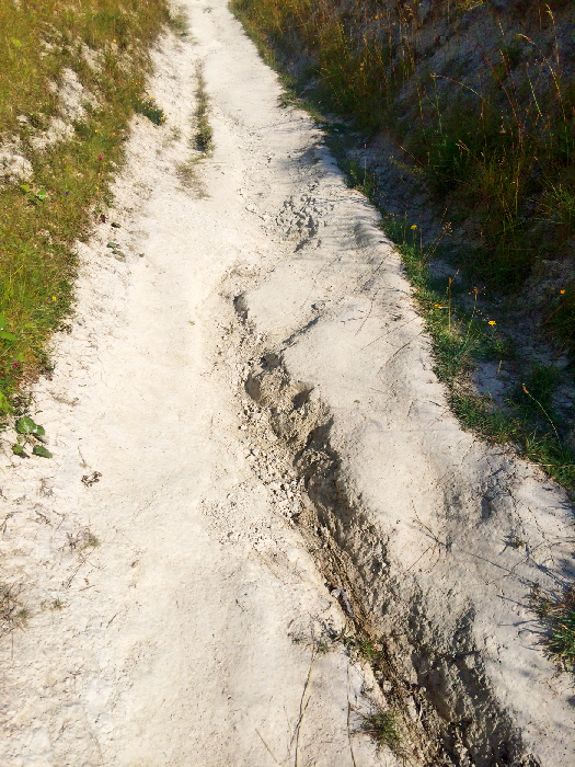 The Paleos® Paws on a heavily rutted chalk path