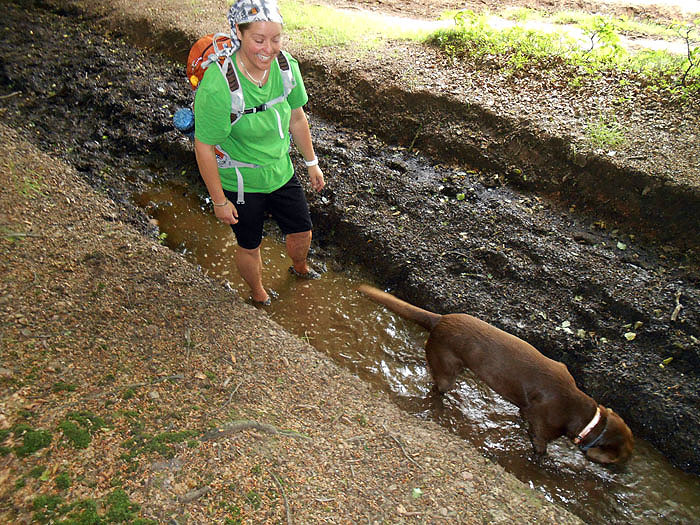 Follow your dog! This can only be done without problems with Paleos®ULTRA! Thank you Fizz Fry for the awsome photos!